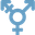 Transerotica Icon