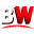 BustyWorld Favicon Icon