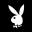 Playboy Plus Favicon Icon